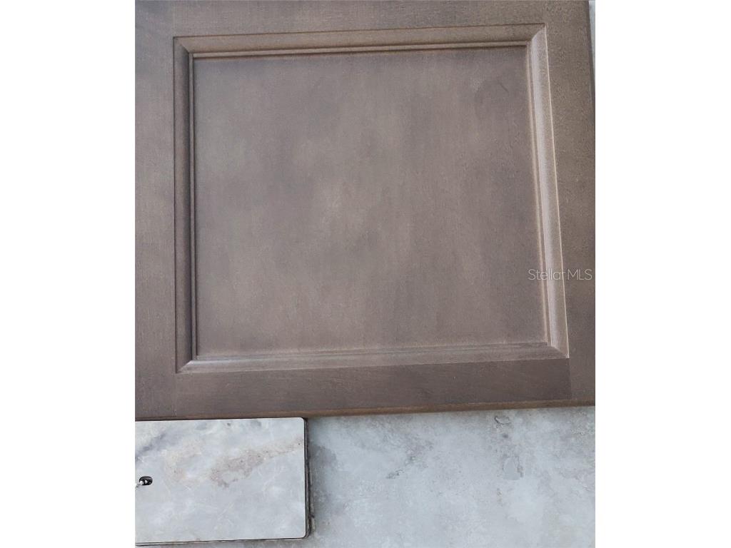 12334 Snow Goose Avenue Brooksville FL 34614 OM715209 image4