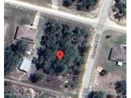 12334 Snow Goose Avenue Weeki Wachee FL 34614 W7863791 image1