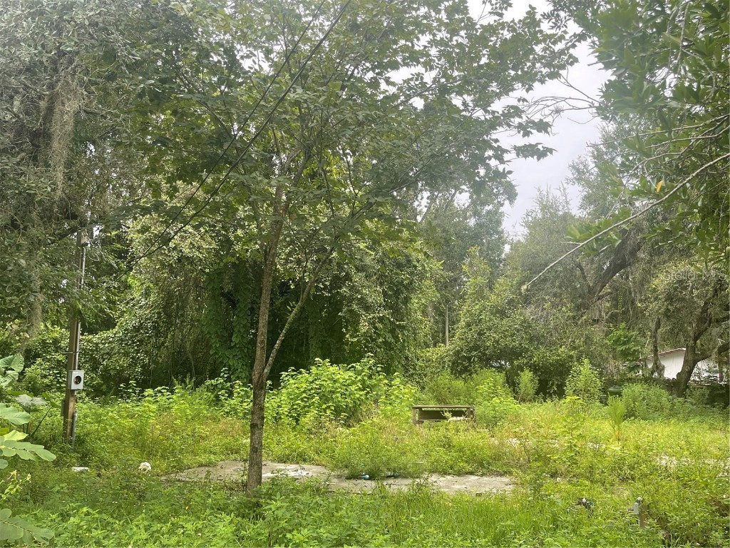 12335 Bayridge Avenue New Port Richey FL 34654 U8172813 image1