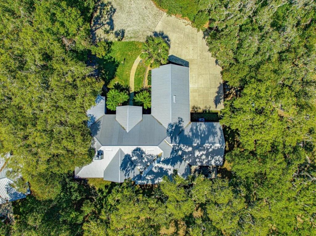 12336 E Highway 25 Ocklawaha FL 32179 - LAKE WEIR OM696216 image27