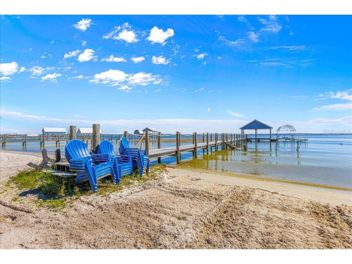 12336 E Highway 25 Ocklawaha FL 32179 - LAKE WEIR OM696216 image8