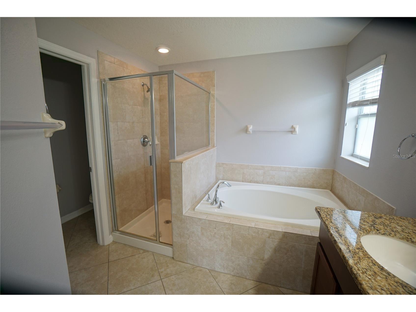 12337 Ballentrae Forest Drive Riverview FL 33579 TB8467077 image12