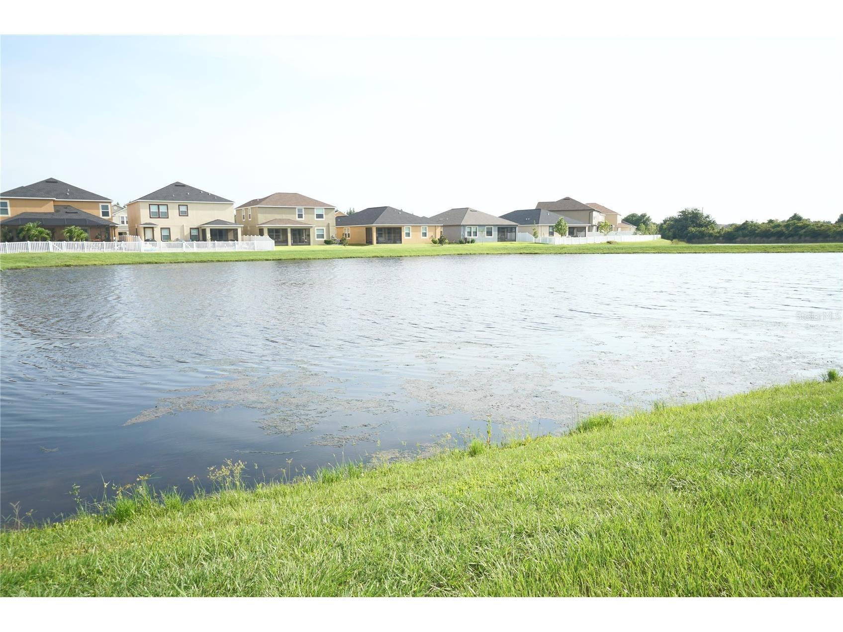 12337 Ballentrae Forest Drive Riverview FL 33579 TB8467077 image23