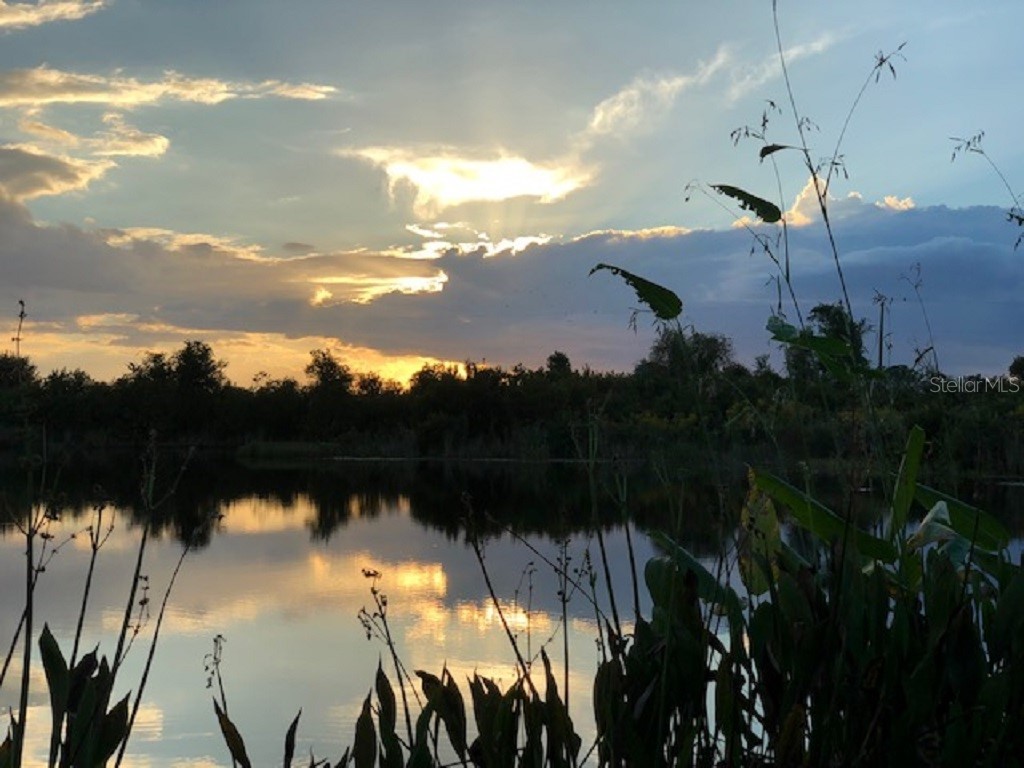 12337 Ballentrae Forest Drive Riverview FL 33579 TB8467077 image27