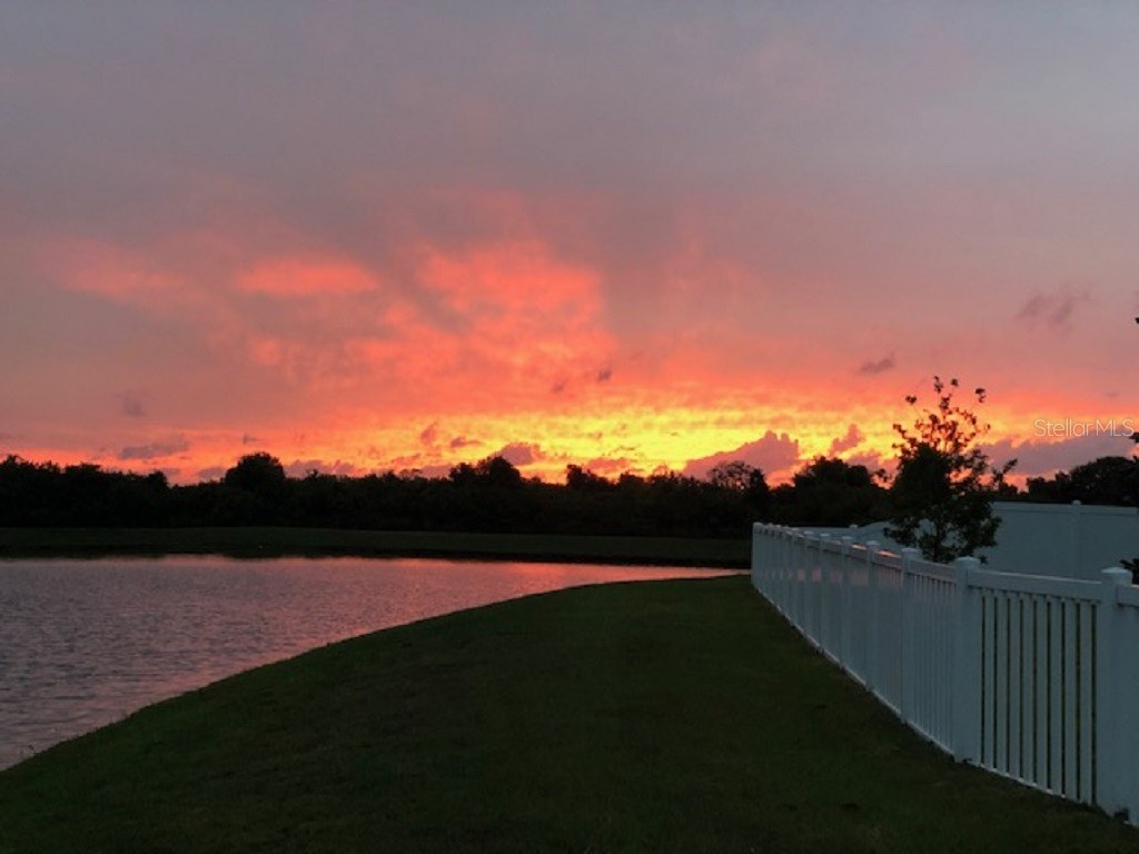 12337 Ballentrae Forest Drive Riverview FL 33579 TB8467077 image29