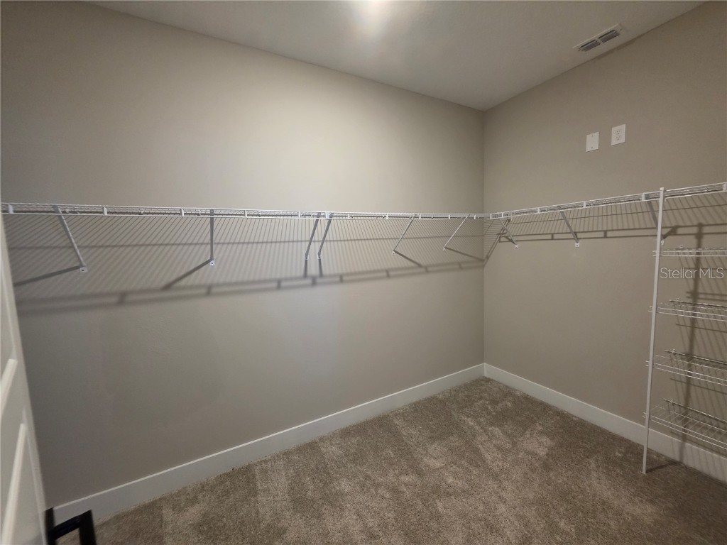 12337 Bracco Street Winter Garden FL 34787 O6360802 image14