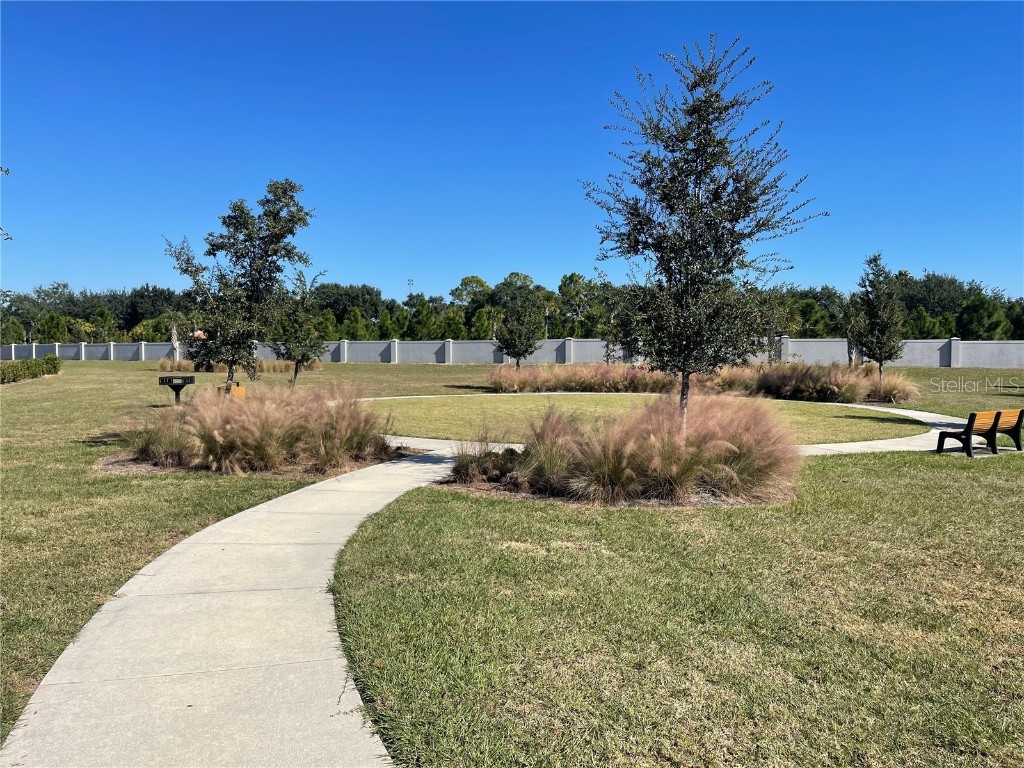 12337 Bracco Street Winter Garden FL 34787 O6360802 image22