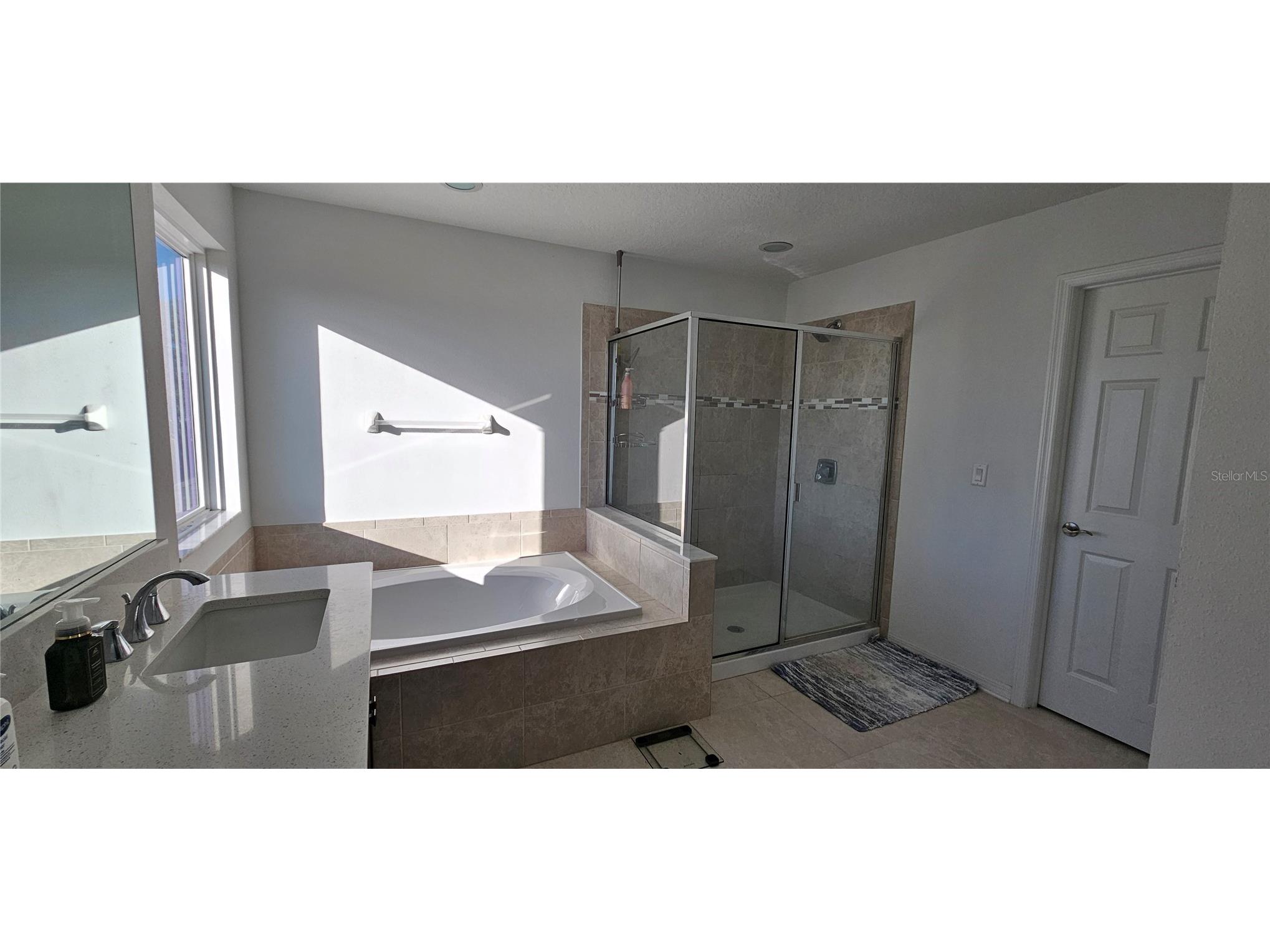 12337 Shining Willow Street Riverview FL 33579 TB8473736 image21