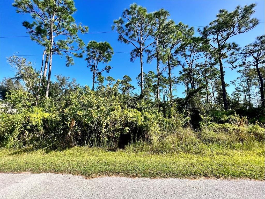 12338 Catalina Drive Punta Gorda FL 33955 C7496875 image1