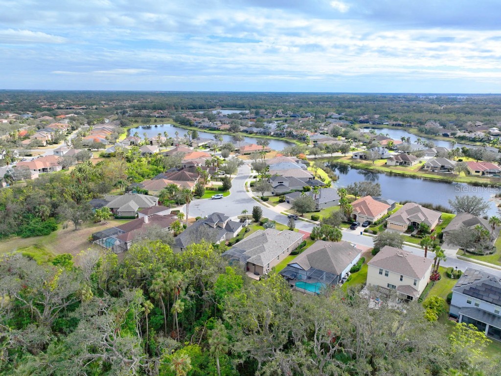 12338 Lavender Loop Bradenton FL 34212 A4636816 image25