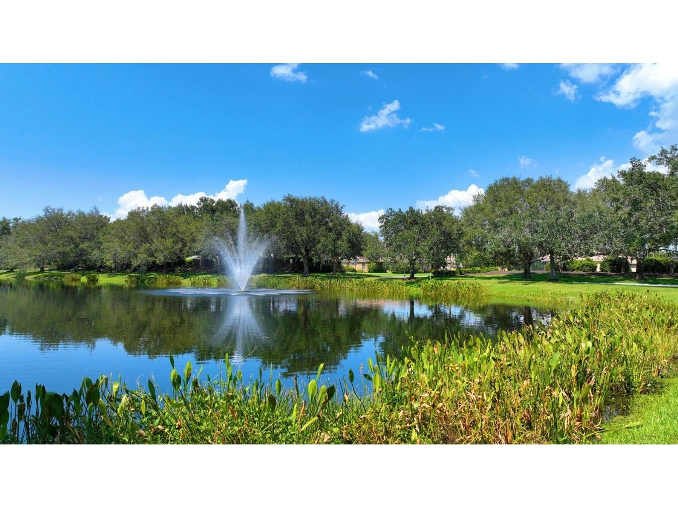 12338 Lavender Loop Bradenton FL 34212 A4636816 image79