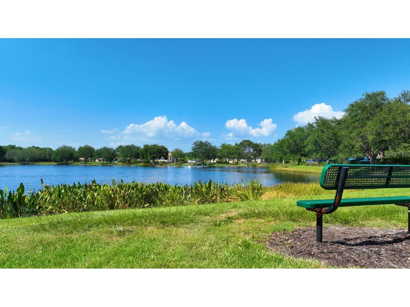 12338 Lavender Loop Bradenton FL 34212 A4636816 image87