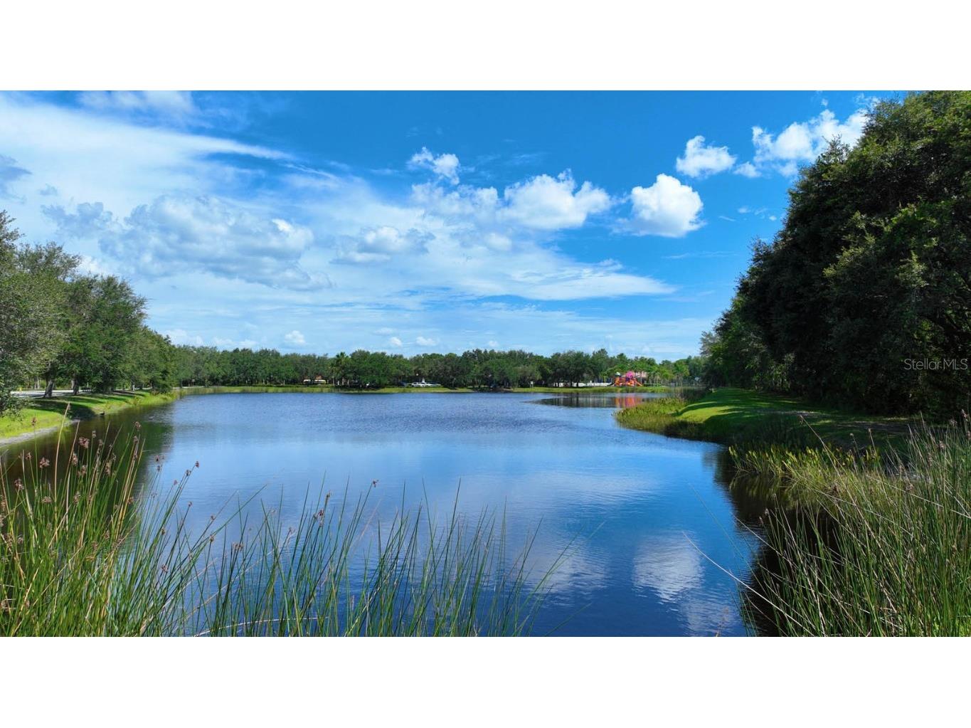 12338 Lavender Loop Bradenton FL 34212 A4636816 image94