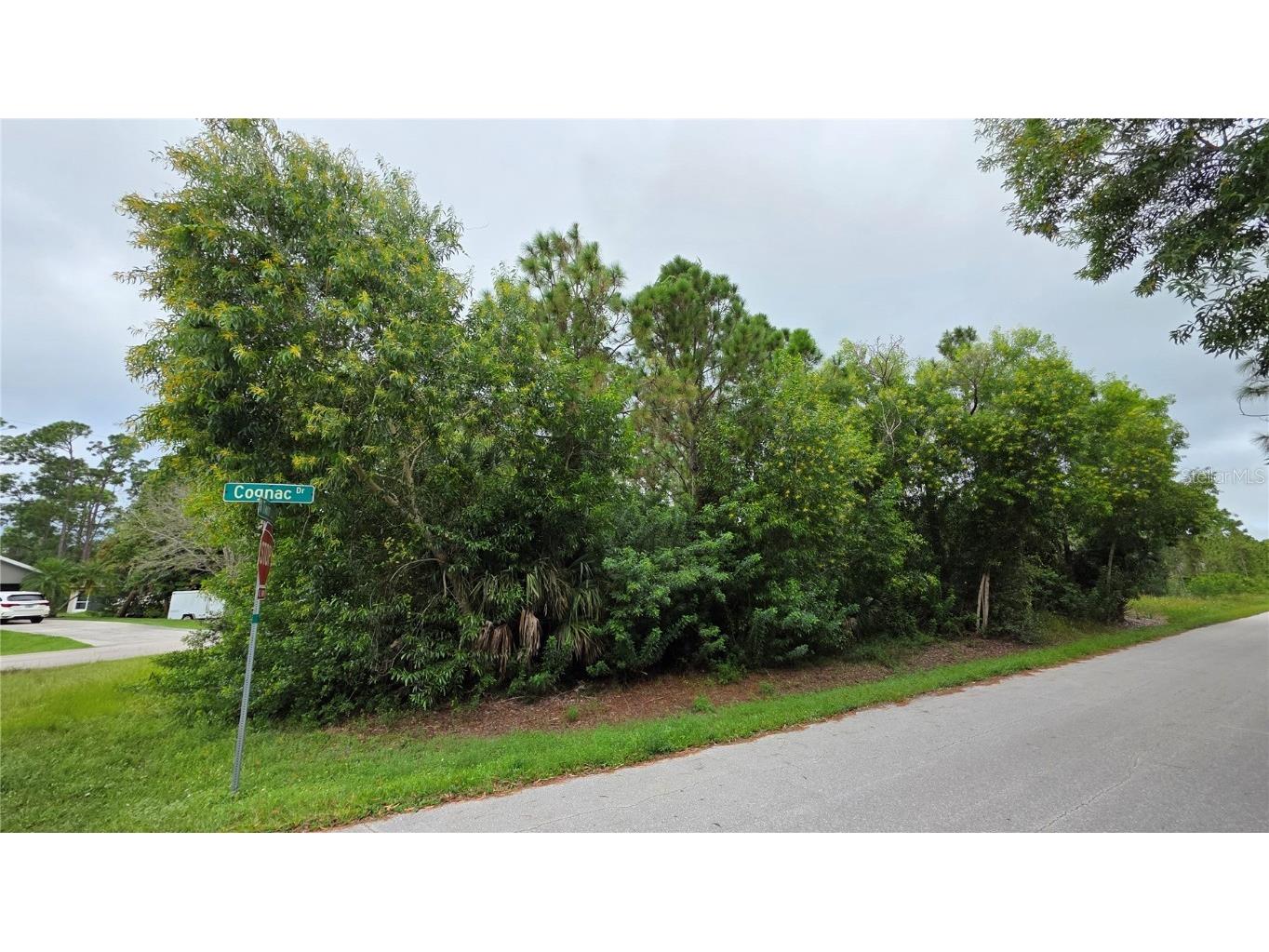 12339 Cognac Drive Punta Gorda FL 33955 C7516004 image1