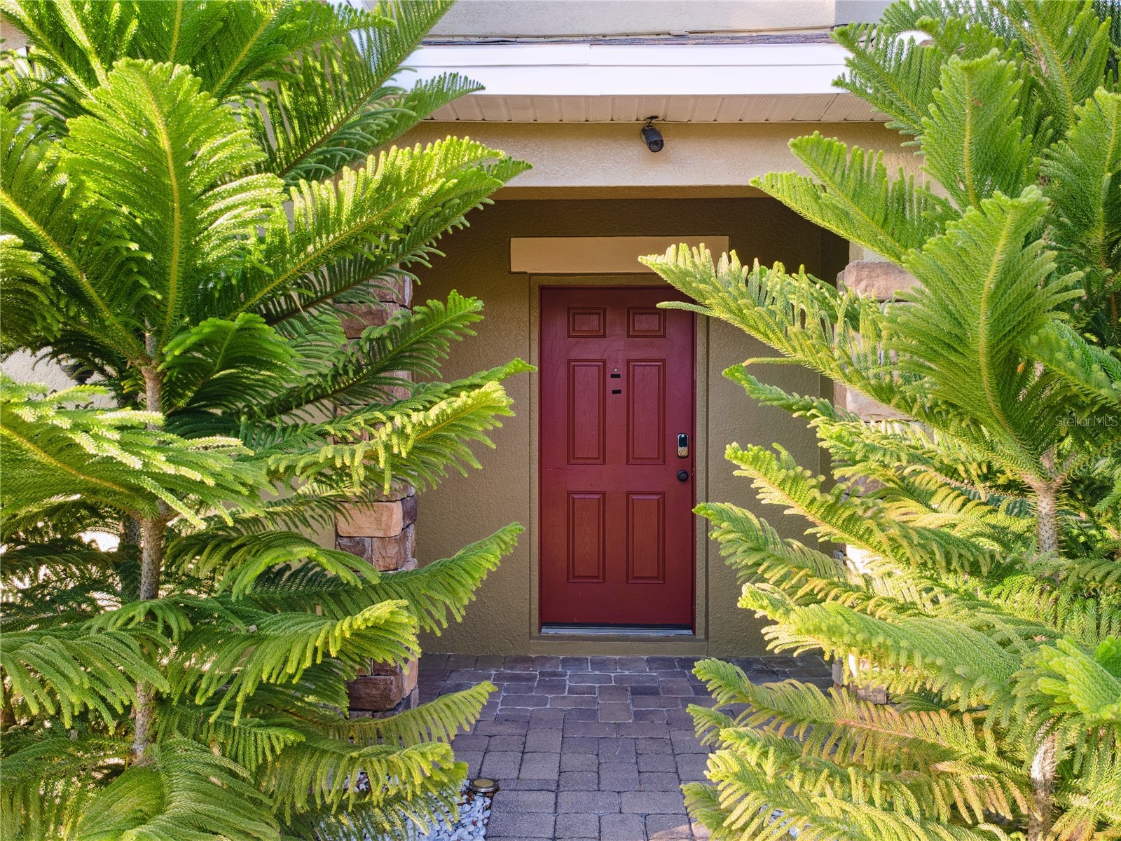 1234 Andalusia Loop Davenport FL 33837 O6363396 image3