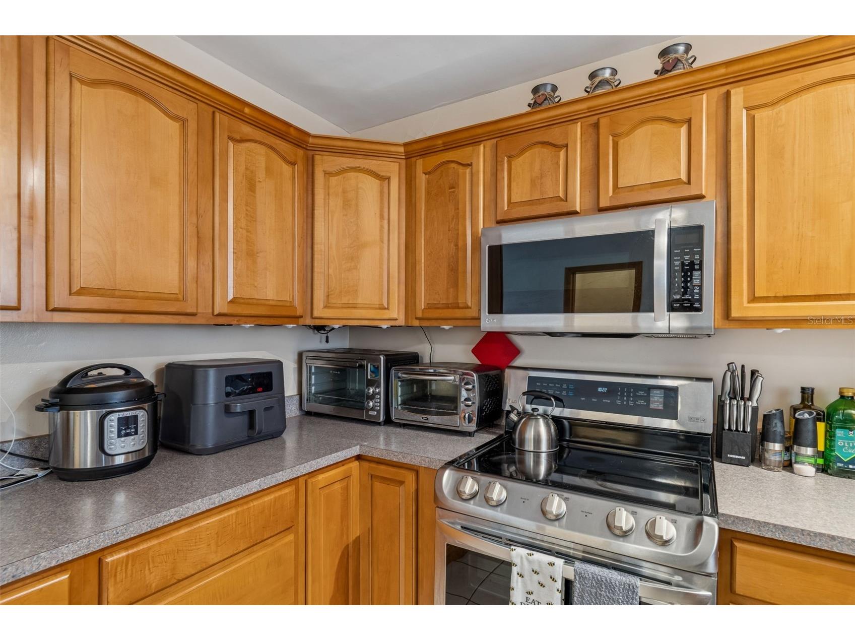 1234 Forrest Hill Drive Clearwater FL 33756 TB8475745 image34