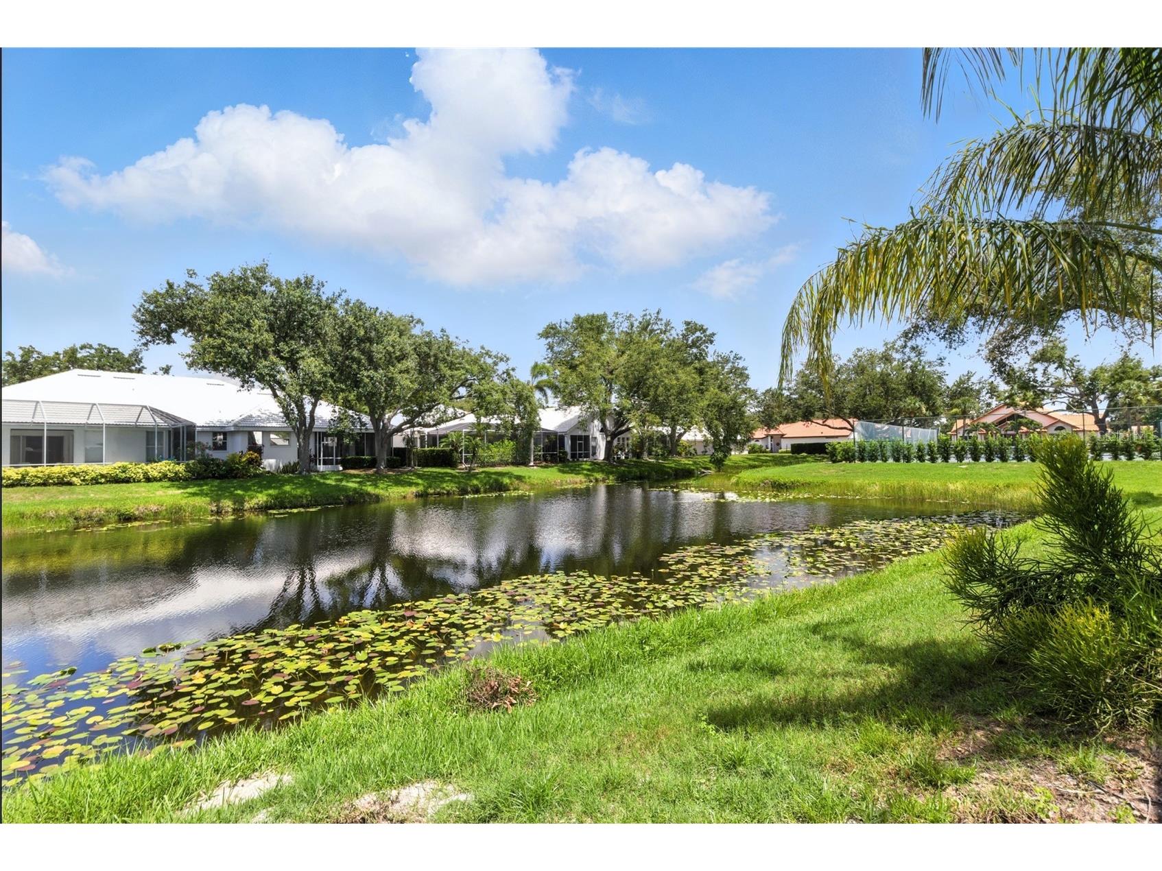 1234 Harbor Town Way Venice FL 34292 N6142894 image12