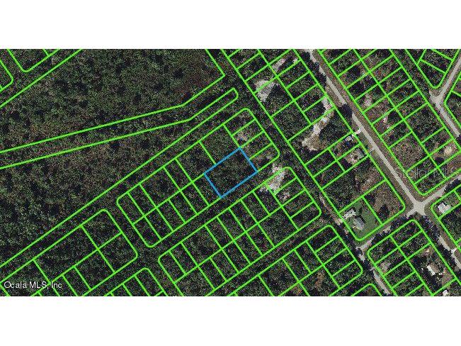 1234 Haviland Street Lake Placid FL 33852 OM541294 image1