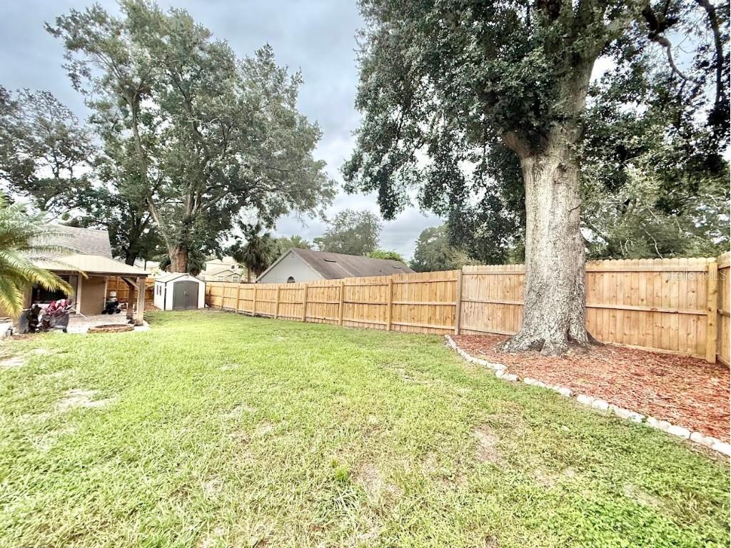 1234 Majestic Palm Court Apopka FL 32712 O6355924 image22