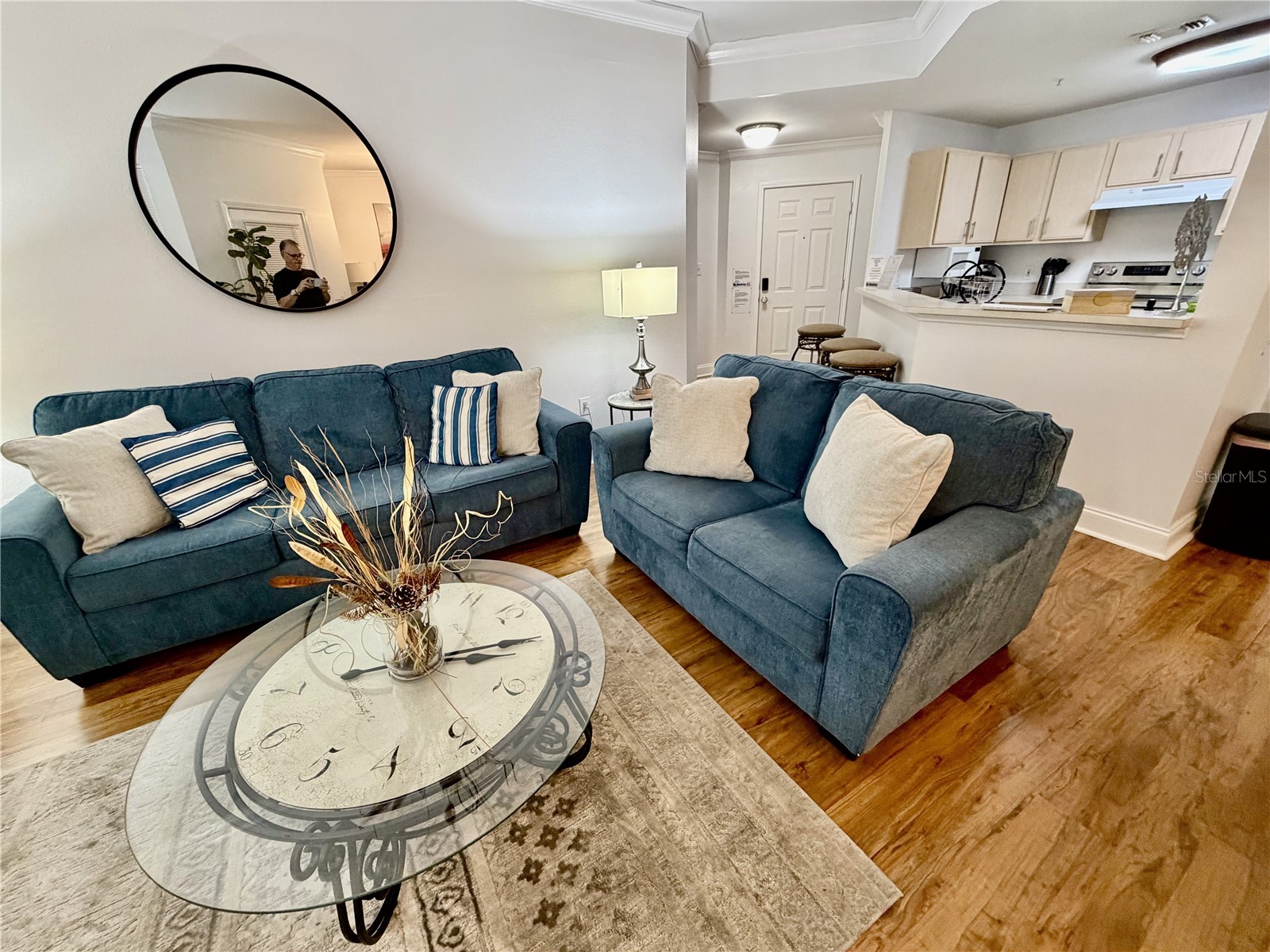 1234 S Missouri Avenue #316 Clearwater FL 33756 TB8525644 image12