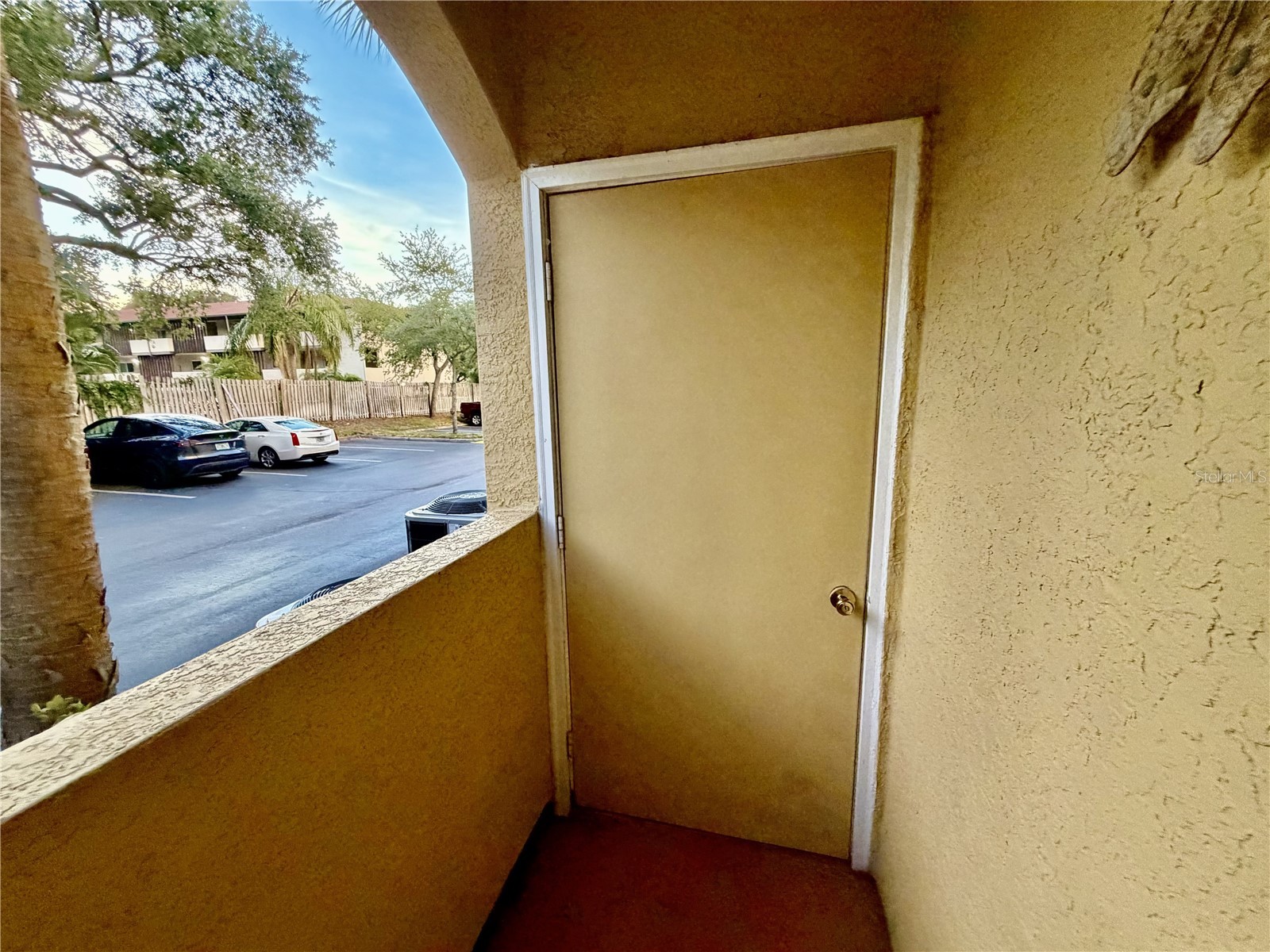 1234 S Missouri Avenue #316 Clearwater FL 33756 TB8525644 image34