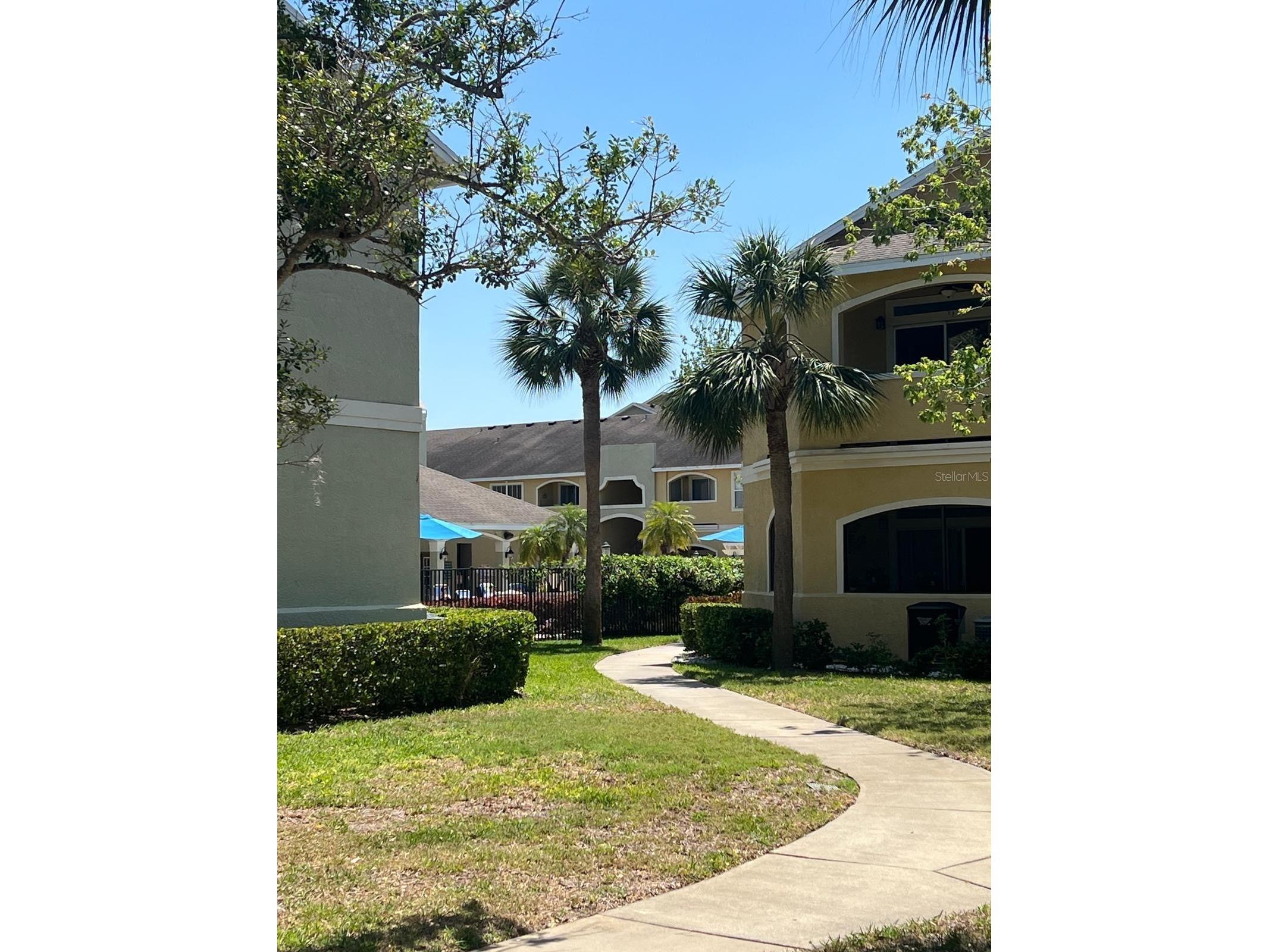 1234 S Missouri Avenue #316 Clearwater FL 33756 TB8525644 image4