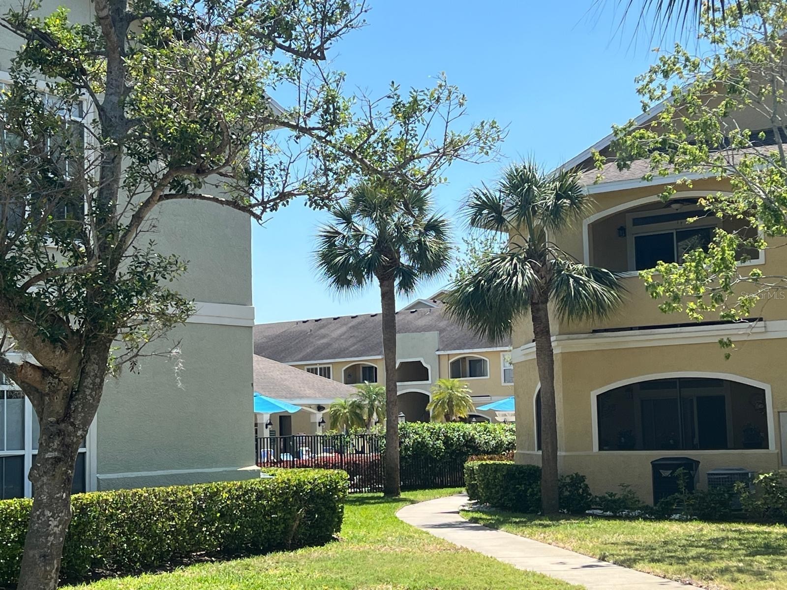 1234 S Missouri Avenue #316 Clearwater FL 33756 TB8525644 image5