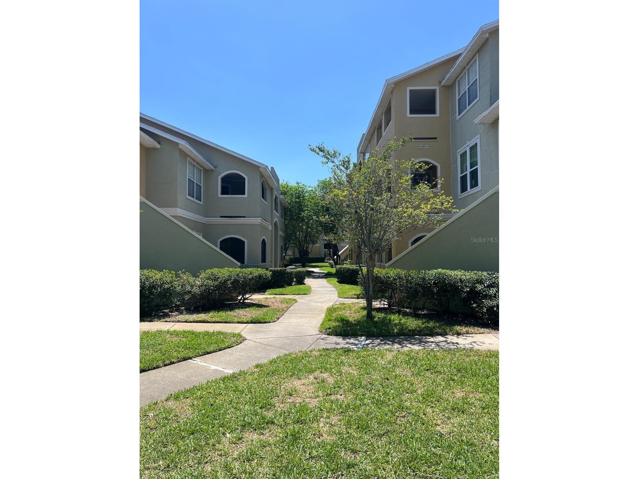 1234 S Missouri Avenue #316 Clearwater FL 33756 TB8525644 image6