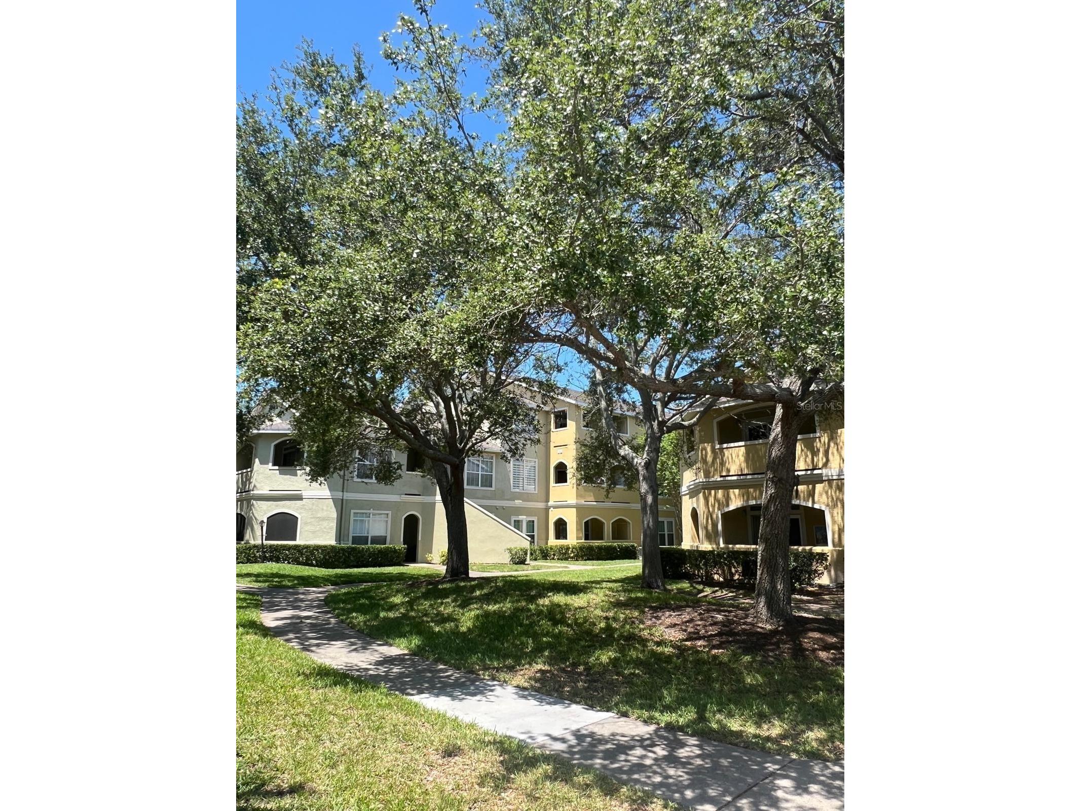 1234 S Missouri Avenue #316 Clearwater FL 33756 TB8525644 image8