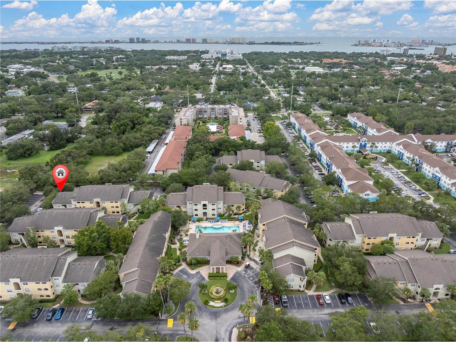 1234 S Missouri Avenue #320 Clearwater FL 33756 TB8479170 image22