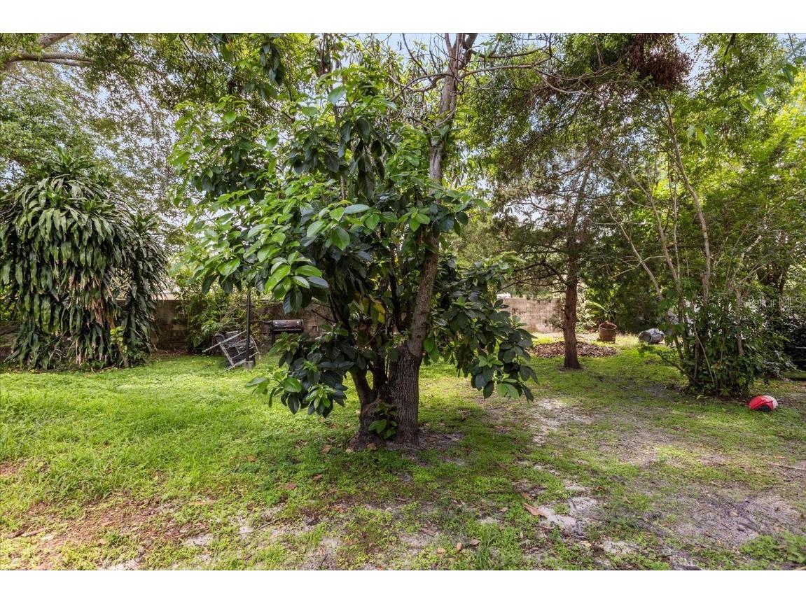 1234 Tino Court Orlando FL 32825 O6317339 image17