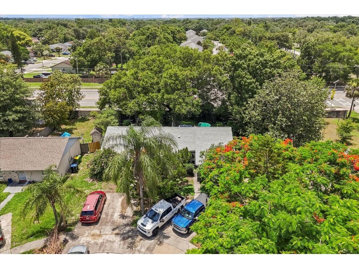 1234 Tino Court Orlando FL 32825 O6317339 image19