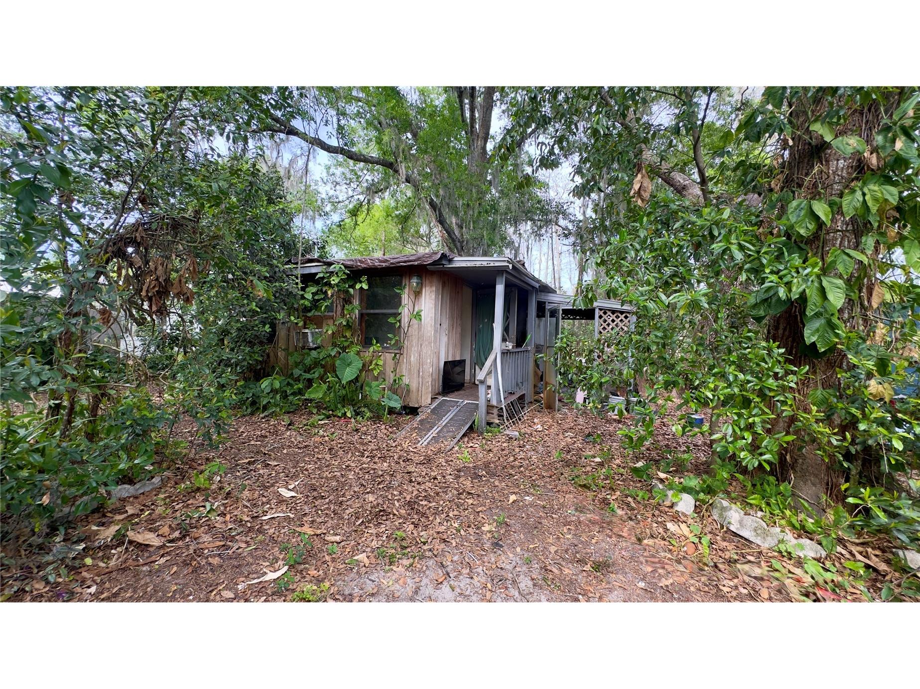 12341 Deer Lake Drive New Port Richey FL 34654 W7884037 image1