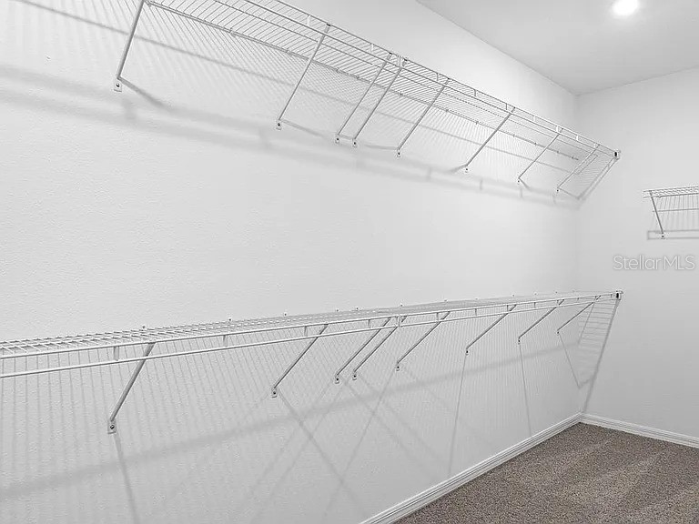 12341 Filbert Road Brooksville FL 34614 O6381846 image28