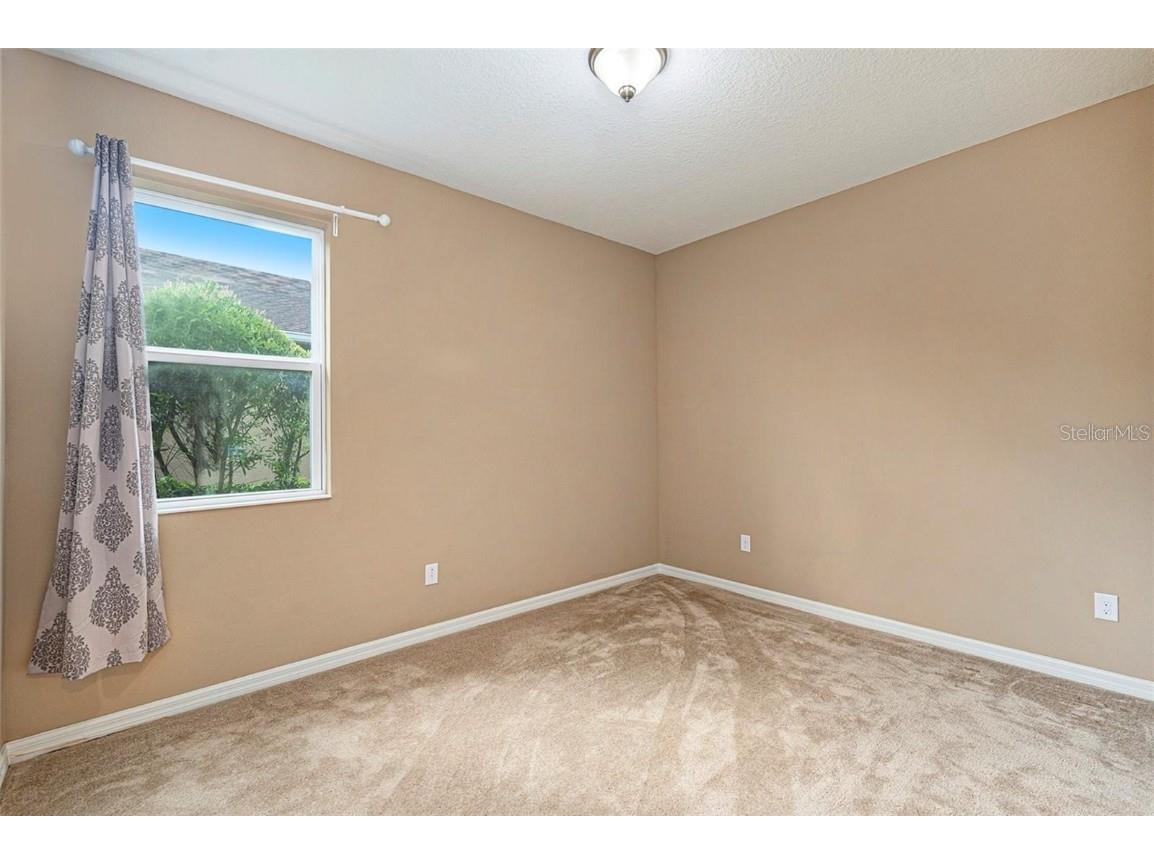 12343 Moss Lake Loop New Port Richey FL 34655 W7879717 image18