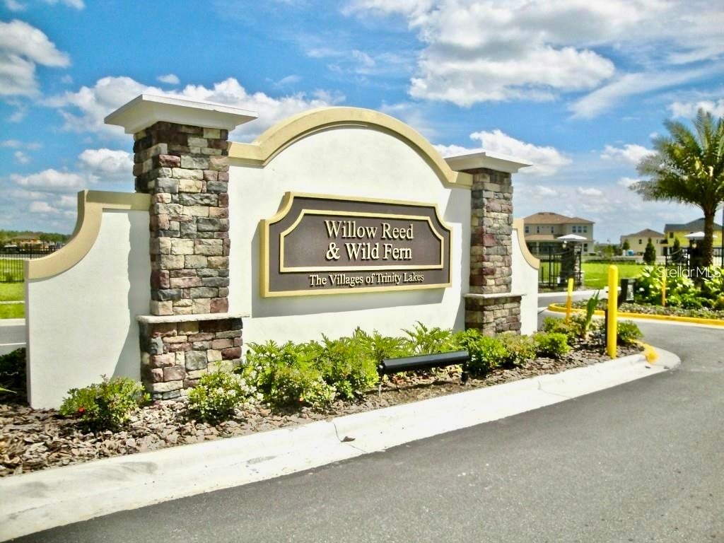 12343 Moss Lake Loop New Port Richey FL 34655 W7879717 image3