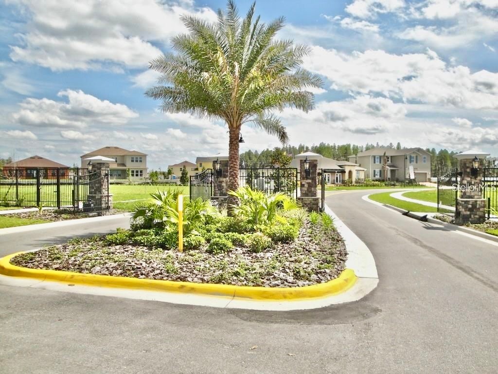 12343 Moss Lake Loop New Port Richey FL 34655 W7879717 image4