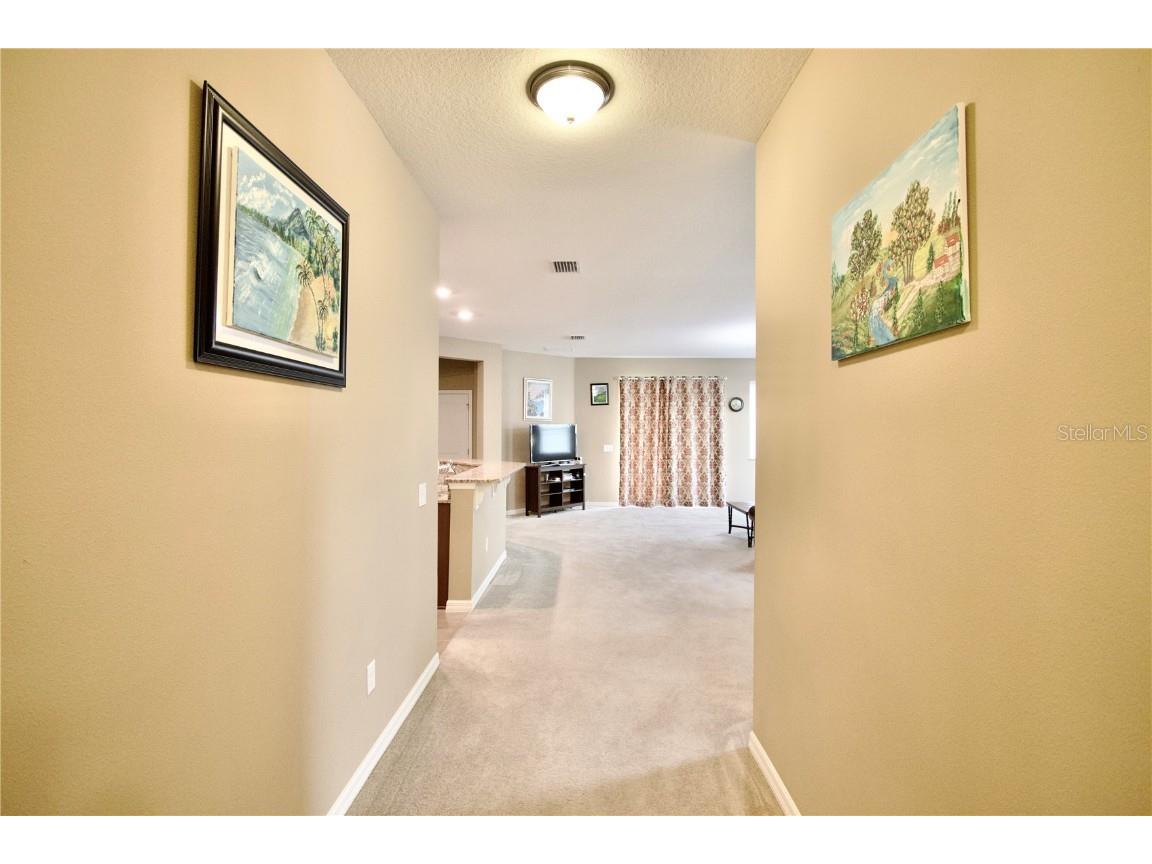 12343 Moss Lake Loop New Port Richey FL 34655 W7879717 image7