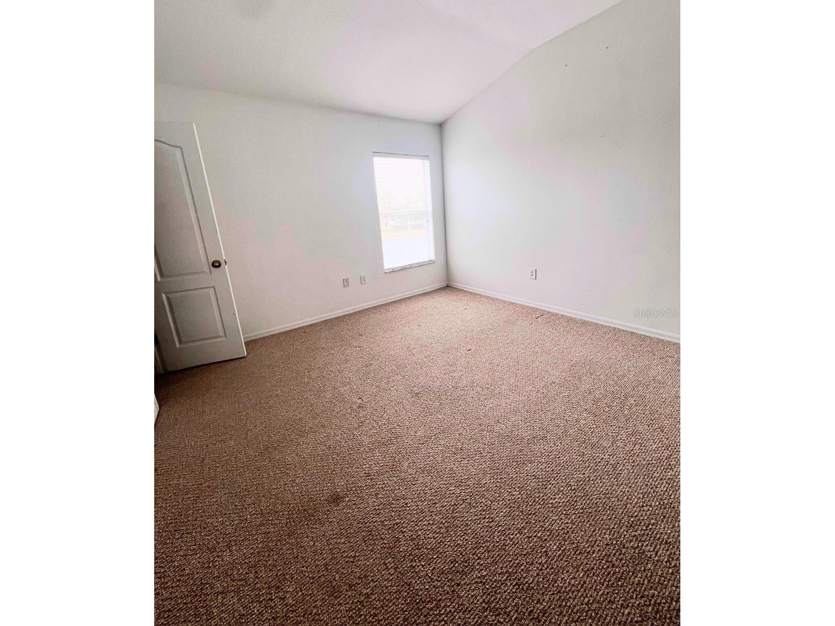 12344 Foxmoor Peak Drive Riverview FL 33579 TB8470404 image14
