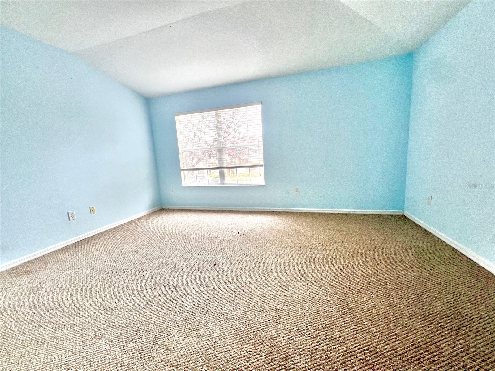 12344 Foxmoor Peak Drive Riverview FL 33579 TB8470404 image20