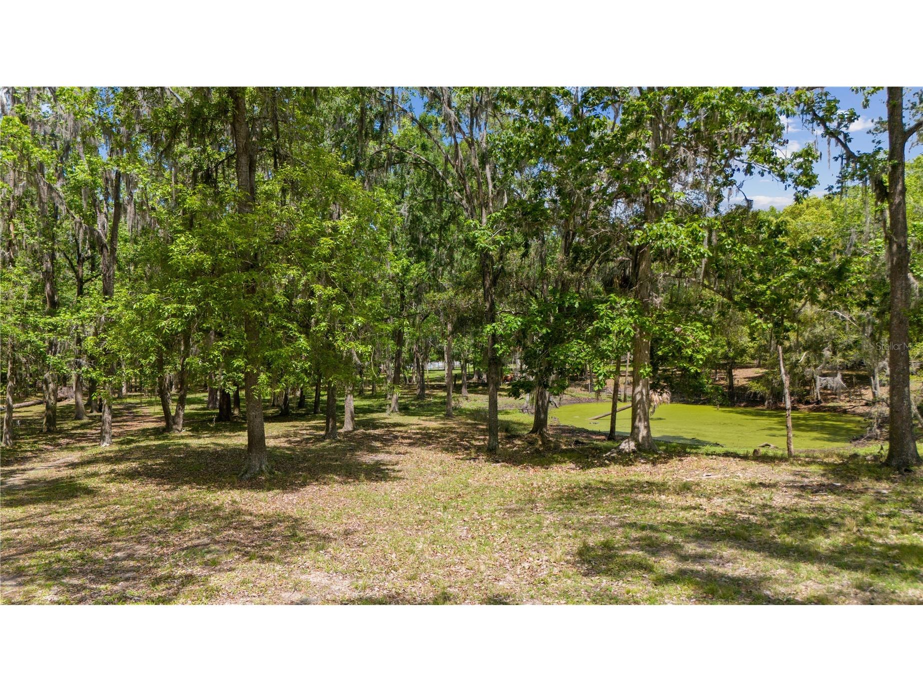 12345 Citrus Way Brooksville FL 34601 TB8463080 image52