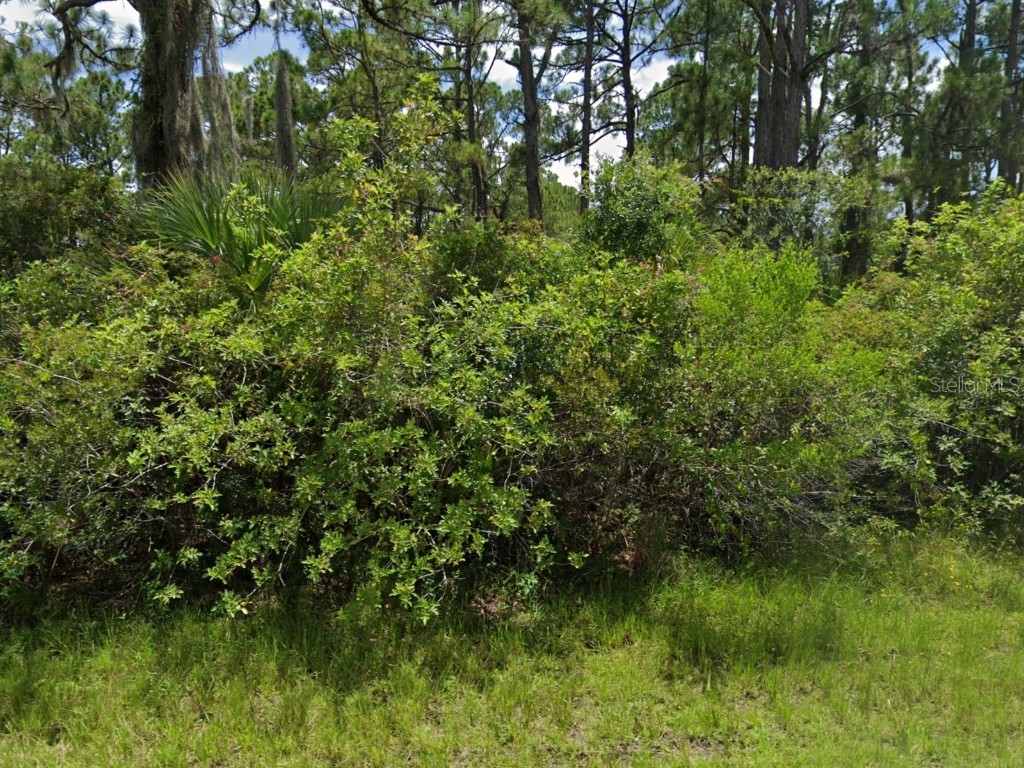 12345 Greenleaf Lane Port Charlotte FL 33953 N6137954 image3