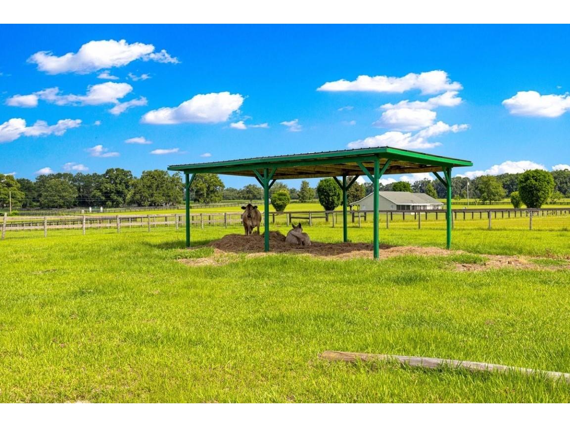 12345 NE 14th Avenue Anthony FL 32617 G5099234 image27