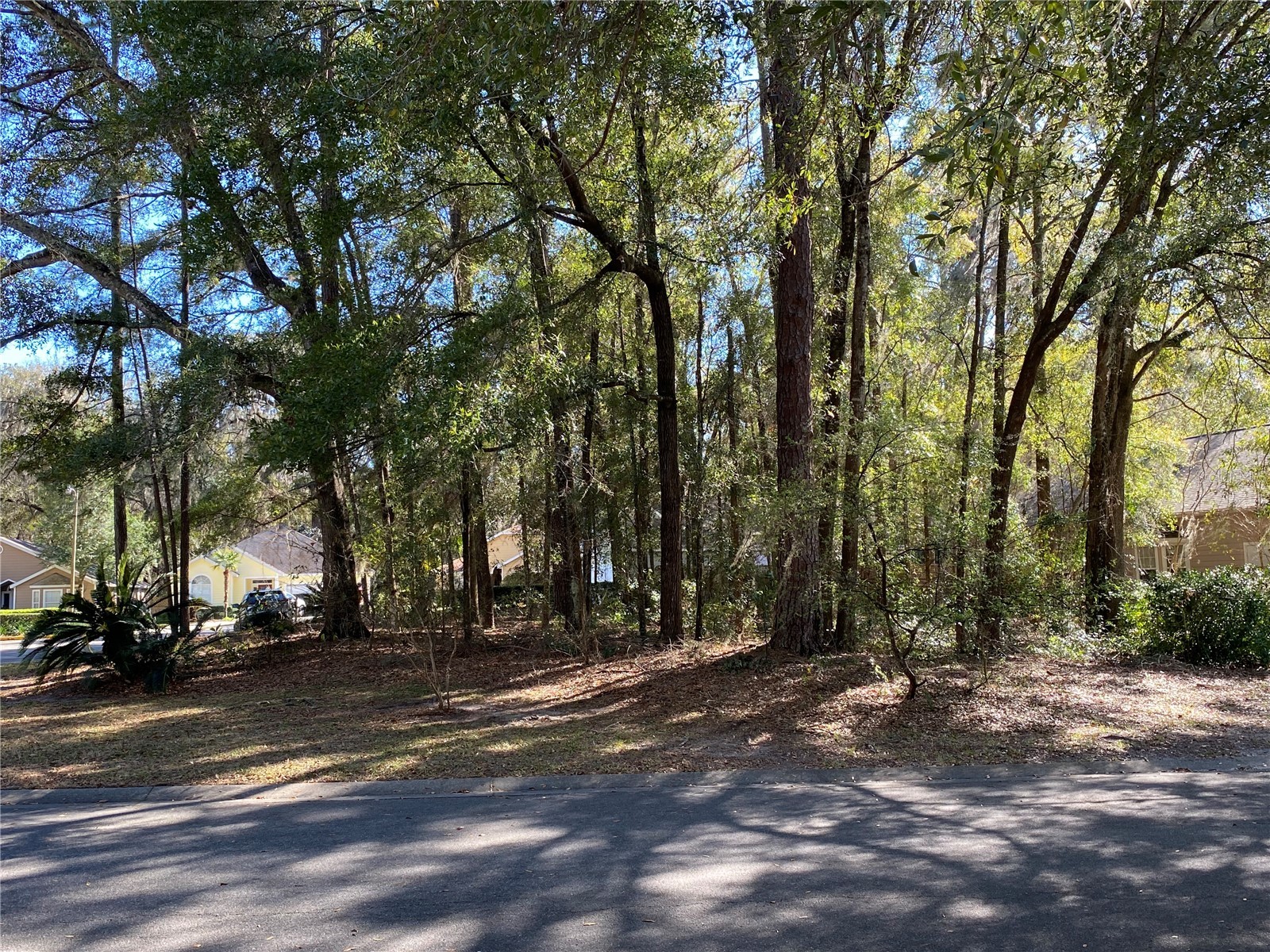 12345 NW 10th Place Newberry FL 32669 GC538372 image3