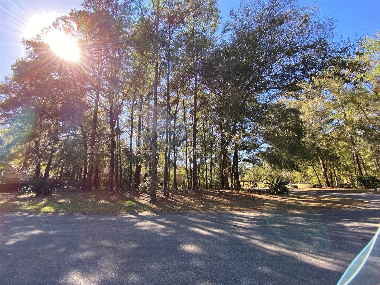 12345 NW 10th Place Newberry FL 32669 GC538372 image4
