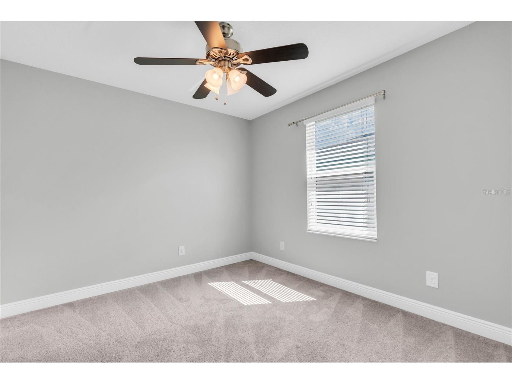 12345 Tibbetts Street Odessa FL 33556 W7885673 image19