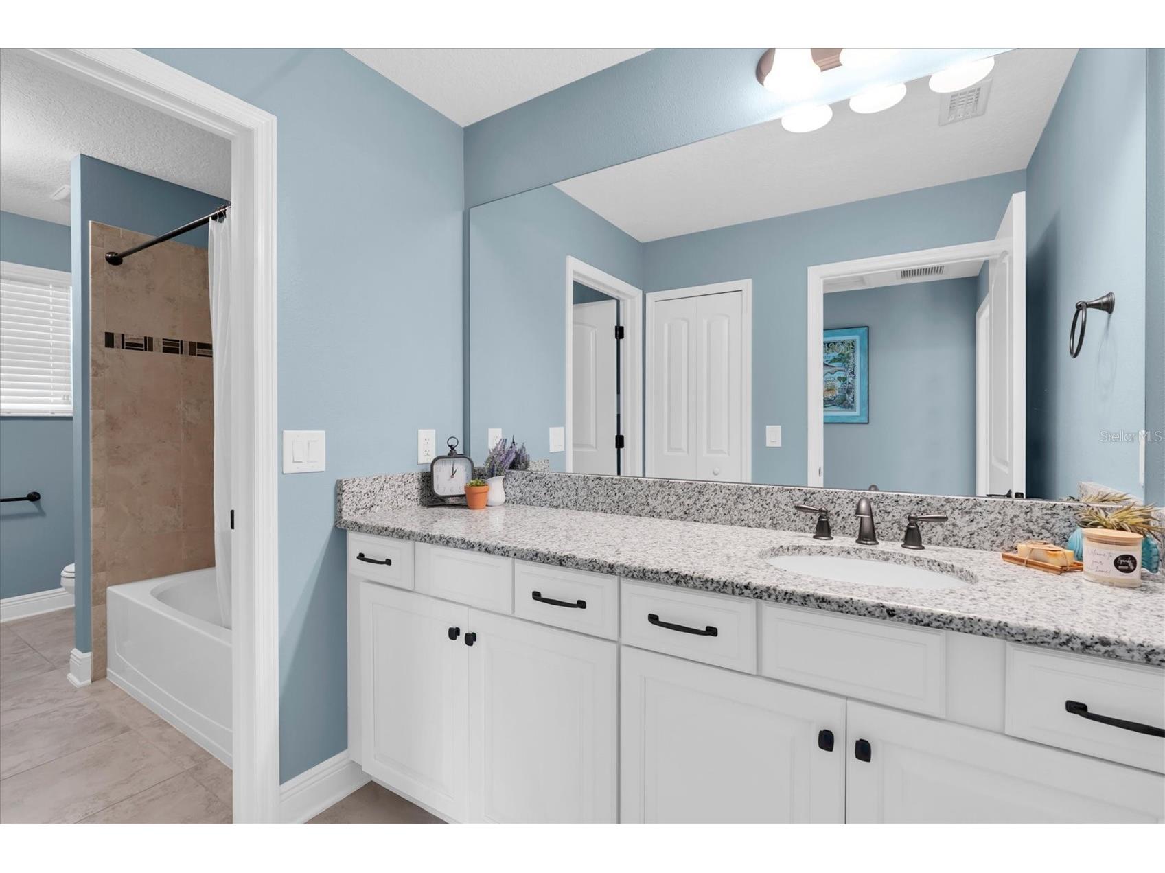 12345 Tibbetts Street Odessa FL 33556 W7885673 image29