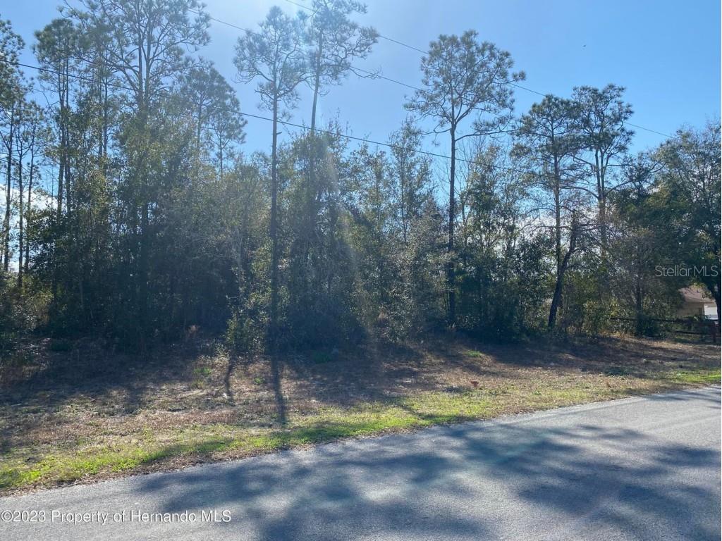 12346 Pitcairn Street Brooksville FL 34613 T3473039 image1