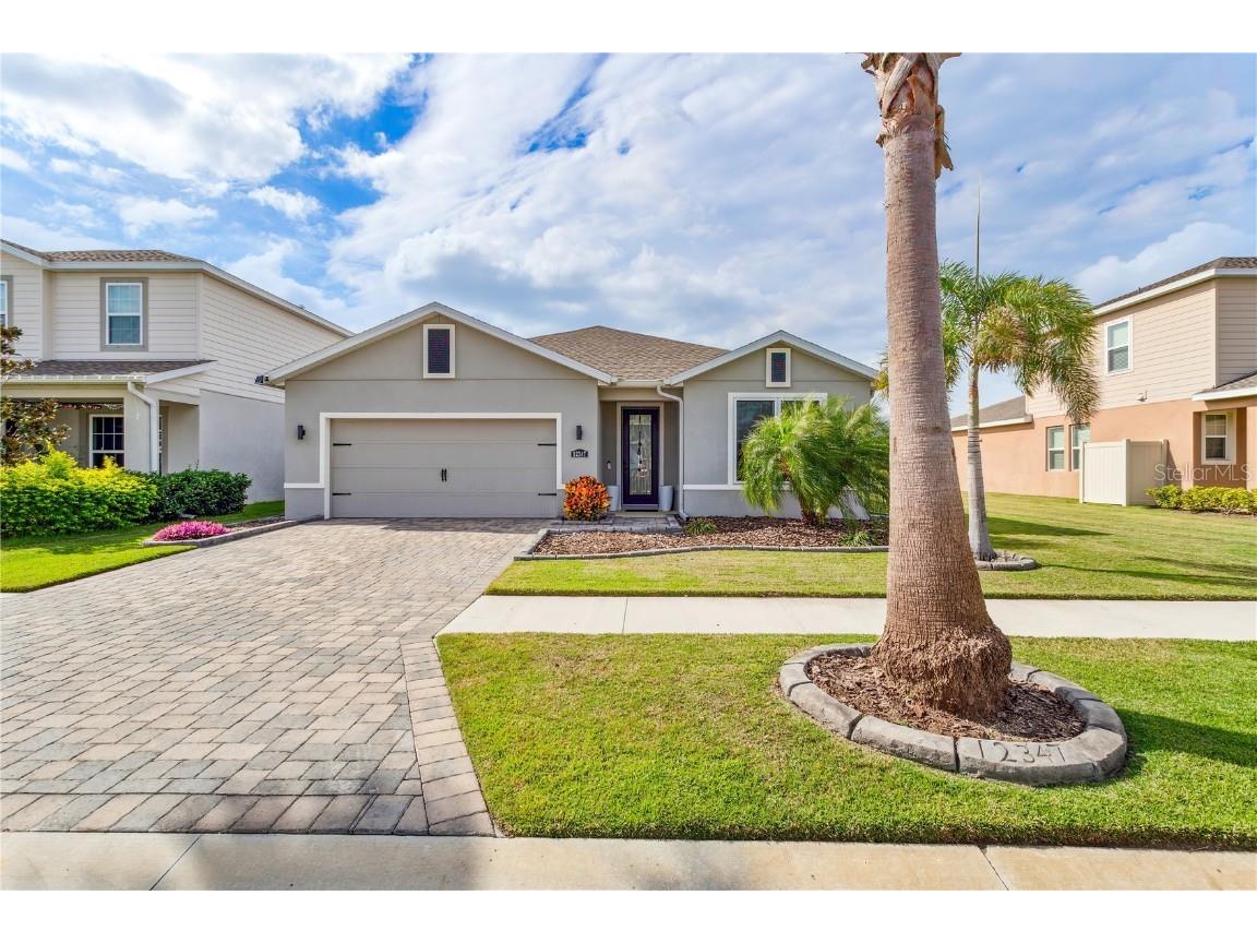 12347 Blue Pacific Drive Riverview FL 33579 T3502822 image1
