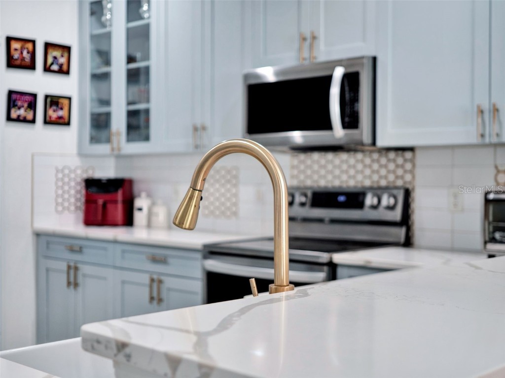 12347 NE 52nd Loop Oxford FL 34484 O6321690 image12